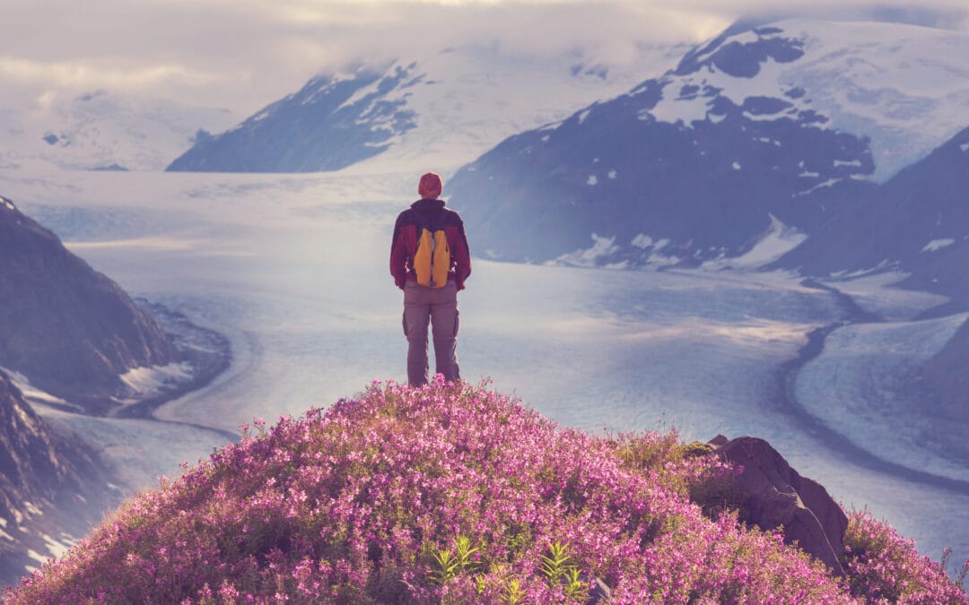 Best New Things To Do In Canada